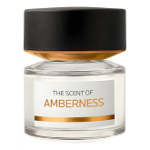 BMW AMBERNESS ПАРФЮМЕРНАЯ ВОДА 100 МЛ